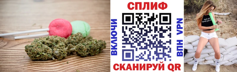 купить закладку  Кудрово  Cannafood марихуана 