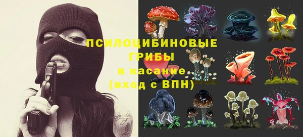 ПСИЛОЦИБИНОВЫЕ ГРИБЫ Алексин
