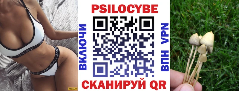 Галлюциногенные грибы Psilocybe  где купить наркоту  Кудрово 